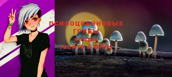 крисы Санкт-Петербург