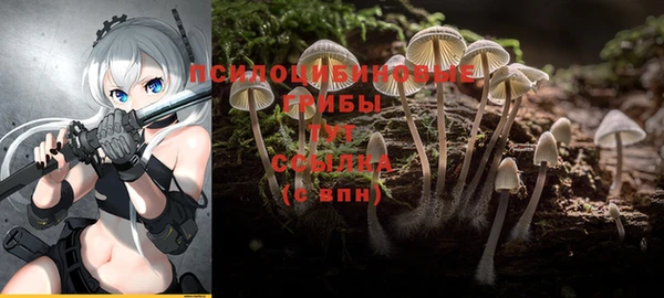 MDMA Белокуриха