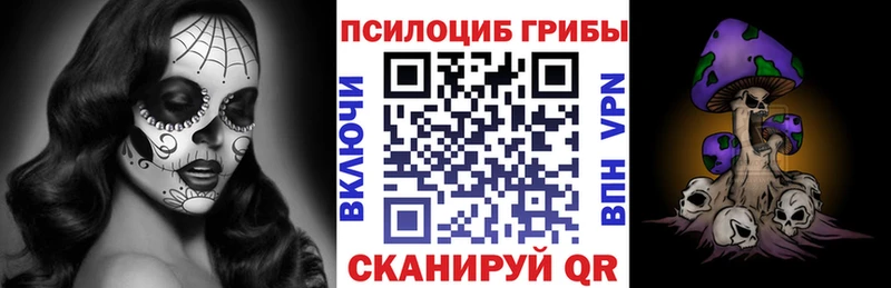 закладки  мега как зайти  Галлюциногенные грибы Psilocybe  Володарск 